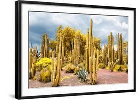 ¡Viva Mexico! Collection - Yellow Cardon Cactus-Philippe Hugonnard-Framed Photographic Print