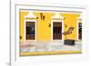 ¡Viva Mexico! Collection - Yellow Facade - Campeche-Philippe Hugonnard-Framed Photographic Print