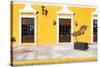 ¡Viva Mexico! Collection - Yellow Facade - Campeche-Philippe Hugonnard-Stretched Canvas