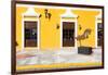 ¡Viva Mexico! Collection - Yellow Facade - Campeche-Philippe Hugonnard-Framed Photographic Print