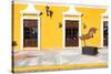 ¡Viva Mexico! Collection - Yellow Facade - Campeche-Philippe Hugonnard-Stretched Canvas