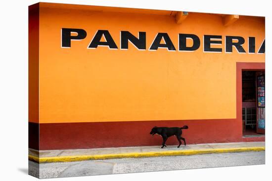¡Viva Mexico! Collection - Yellow Line-Philippe Hugonnard-Stretched Canvas