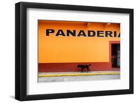 ¡Viva Mexico! Collection - Yellow Line-Philippe Hugonnard-Framed Photographic Print