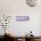 ¡Viva Mexico! Panoramic Collection - "5 de febrero" Purple Wall-Philippe Hugonnard-Stretched Canvas displayed on a wall