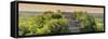 ¡Viva Mexico! Panoramic Collection - Ancient Maya City within the Jungle at Sunset - Calakmul-Philippe Hugonnard-Framed Stretched Canvas