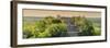 ¡Viva Mexico! Panoramic Collection - Ancient Maya City within the Jungle at Sunset - Calakmul-Philippe Hugonnard-Framed Photographic Print