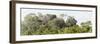 ¡Viva Mexico! Panoramic Collection - Ancient Maya City within the Jungle - Calakmul-Philippe Hugonnard-Framed Photographic Print