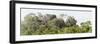 ¡Viva Mexico! Panoramic Collection - Ancient Maya City within the Jungle - Calakmul-Philippe Hugonnard-Framed Photographic Print