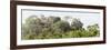 ¡Viva Mexico! Panoramic Collection - Ancient Maya City within the Jungle - Calakmul-Philippe Hugonnard-Framed Photographic Print