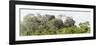 ¡Viva Mexico! Panoramic Collection - Ancient Maya City within the Jungle - Calakmul-Philippe Hugonnard-Framed Photographic Print