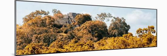 ¡Viva Mexico! Panoramic Collection - Ancient Maya City within the Jungle - Calakmul-Philippe Hugonnard-Mounted Photographic Print