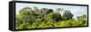 ¡Viva Mexico! Panoramic Collection - Ancient Maya City within the Jungle - Calakmul-Philippe Hugonnard-Framed Stretched Canvas