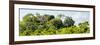 ¡Viva Mexico! Panoramic Collection - Ancient Maya City within the Jungle - Calakmul-Philippe Hugonnard-Framed Photographic Print