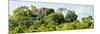 ¡Viva Mexico! Panoramic Collection - Ancient Maya City within the Jungle - Calakmul-Philippe Hugonnard-Mounted Photographic Print