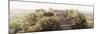 ¡Viva Mexico! Panoramic Collection - Ancient Maya City within the Jungle - Calakmul-Philippe Hugonnard-Mounted Premium Photographic Print