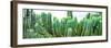 ¡Viva Mexico! Panoramic Collection - Cactus I-Philippe Hugonnard-Framed Photographic Print