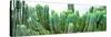 ¡Viva Mexico! Panoramic Collection - Cactus I-Philippe Hugonnard-Stretched Canvas