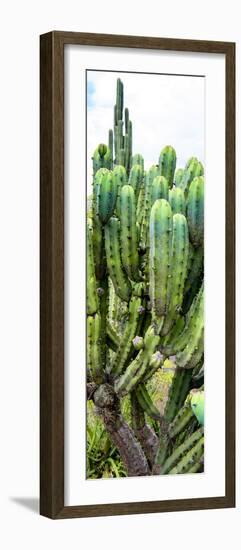 ¡Viva Mexico! Panoramic Collection - Cactus II-Philippe Hugonnard-Framed Photographic Print