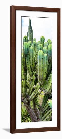 ¡Viva Mexico! Panoramic Collection - Cactus II-Philippe Hugonnard-Framed Photographic Print