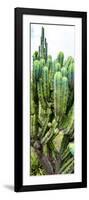 ¡Viva Mexico! Panoramic Collection - Cactus II-Philippe Hugonnard-Framed Photographic Print