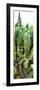 ¡Viva Mexico! Panoramic Collection - Cactus II-Philippe Hugonnard-Framed Photographic Print