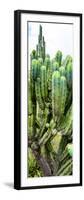 ¡Viva Mexico! Panoramic Collection - Cactus II-Philippe Hugonnard-Framed Photographic Print