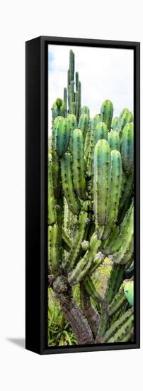 ¡Viva Mexico! Panoramic Collection - Cactus II-Philippe Hugonnard-Framed Stretched Canvas