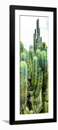 ¡Viva Mexico! Panoramic Collection - Cactus III-Philippe Hugonnard-Framed Photographic Print