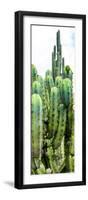 ¡Viva Mexico! Panoramic Collection - Cactus III-Philippe Hugonnard-Framed Photographic Print