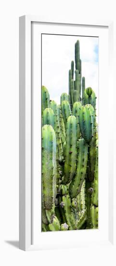 ¡Viva Mexico! Panoramic Collection - Cactus III-Philippe Hugonnard-Framed Photographic Print