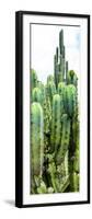 ¡Viva Mexico! Panoramic Collection - Cactus III-Philippe Hugonnard-Framed Photographic Print