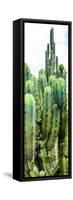 ¡Viva Mexico! Panoramic Collection - Cactus III-Philippe Hugonnard-Framed Stretched Canvas