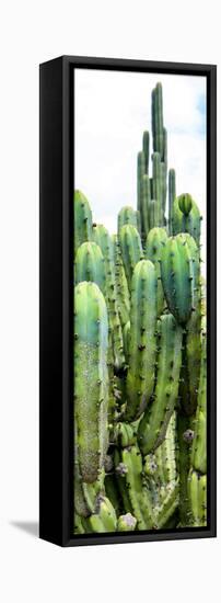 ¡Viva Mexico! Panoramic Collection - Cactus III-Philippe Hugonnard-Framed Stretched Canvas