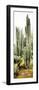 ¡Viva Mexico! Panoramic Collection - Cactus IV-Philippe Hugonnard-Framed Premium Photographic Print