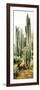 ¡Viva Mexico! Panoramic Collection - Cactus IV-Philippe Hugonnard-Framed Photographic Print