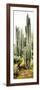 ¡Viva Mexico! Panoramic Collection - Cactus IV-Philippe Hugonnard-Framed Photographic Print