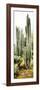 ¡Viva Mexico! Panoramic Collection - Cactus IV-Philippe Hugonnard-Framed Photographic Print