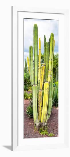 ¡Viva Mexico! Panoramic Collection - Cactus VI-Philippe Hugonnard-Framed Photographic Print