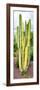 ¡Viva Mexico! Panoramic Collection - Cactus VI-Philippe Hugonnard-Framed Photographic Print