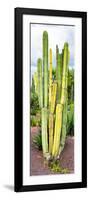 ¡Viva Mexico! Panoramic Collection - Cactus VI-Philippe Hugonnard-Framed Photographic Print