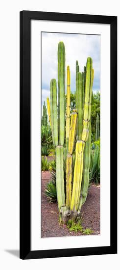 ¡Viva Mexico! Panoramic Collection - Cactus VI-Philippe Hugonnard-Framed Photographic Print