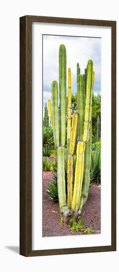 ¡Viva Mexico! Panoramic Collection - Cactus VI-Philippe Hugonnard-Framed Photographic Print
