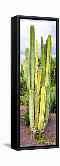 ¡Viva Mexico! Panoramic Collection - Cactus VI-Philippe Hugonnard-Framed Stretched Canvas