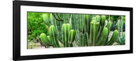 ¡Viva Mexico! Panoramic Collection - Cactus-Philippe Hugonnard-Framed Photographic Print