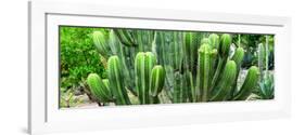 ¡Viva Mexico! Panoramic Collection - Cactus-Philippe Hugonnard-Framed Photographic Print