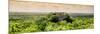 ¡Viva Mexico! Panoramic Collection - Calakmul in the Mexican Jungle at Sunset-Philippe Hugonnard-Mounted Photographic Print