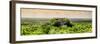 ¡Viva Mexico! Panoramic Collection - Calakmul in the Mexican Jungle at Sunset-Philippe Hugonnard-Framed Photographic Print