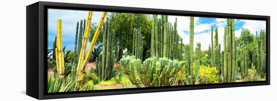 ¡Viva Mexico! Panoramic Collection - Cardon Cactus III-Philippe Hugonnard-Framed Stretched Canvas