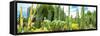 ¡Viva Mexico! Panoramic Collection - Cardon Cactus III-Philippe Hugonnard-Framed Stretched Canvas