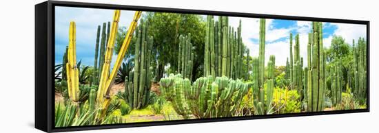 ¡Viva Mexico! Panoramic Collection - Cardon Cactus III-Philippe Hugonnard-Framed Stretched Canvas